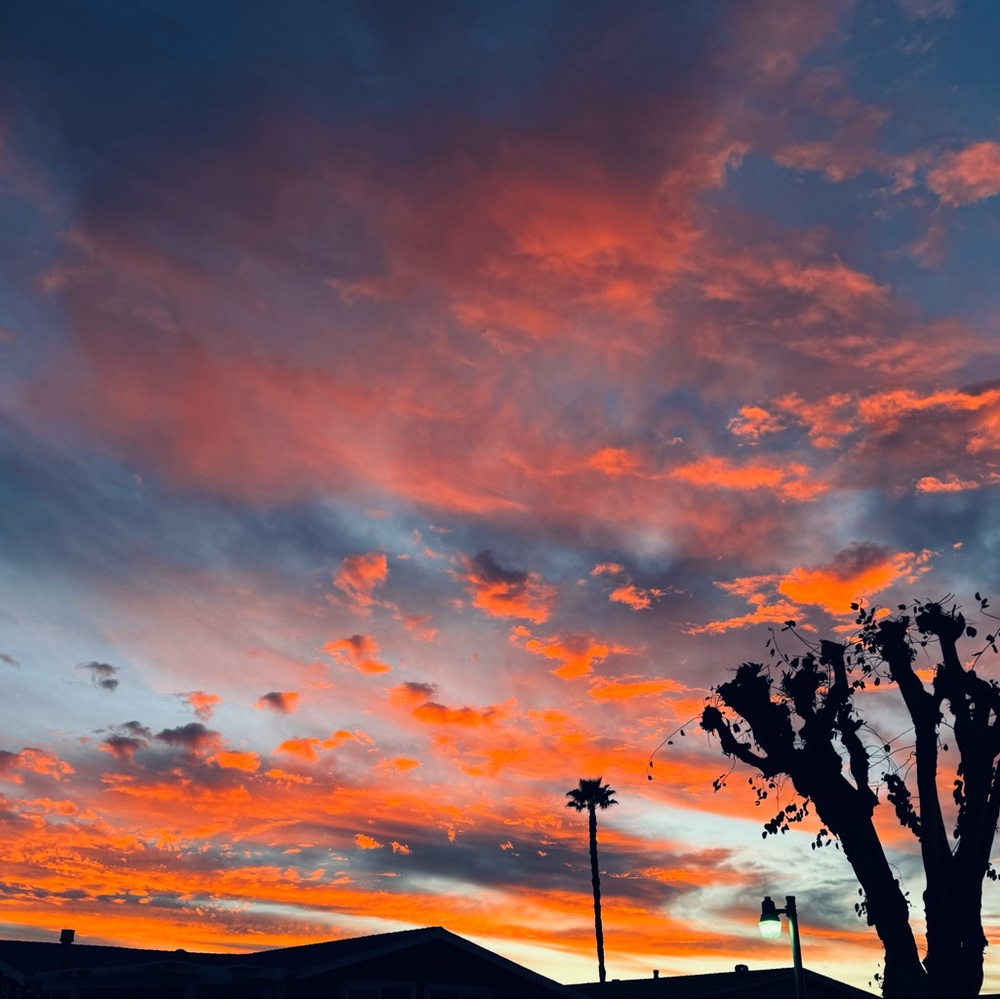 SUNSET SHOW.  POSTPONED